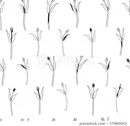 Vector seamless botanical pattern with hand drawn herbs isolated on white background. Endless 57960043