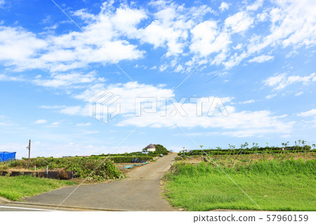 田野(秋天) 田野(秋天) 57960159