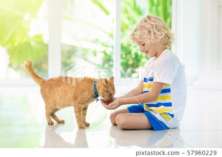 Child feeding home cat. Kids and pets. 57960229