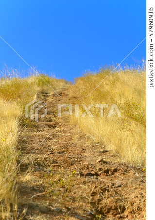 小山的天空和路在黃色的草地上 57960916