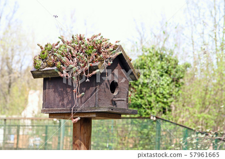 A birdhouse 57961665