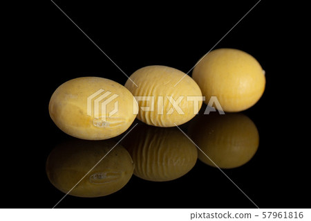 Raw yellow soya bean isolated on black glass 57961816
