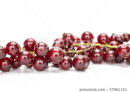 Fresh dark redcurrant isolated on white 57962181