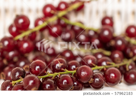 Fresh dark redcurrant with braided rattan 57962183