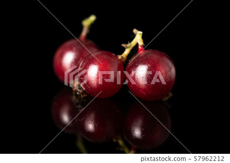 Fresh dark redcurrant isolated on black glass 57962212