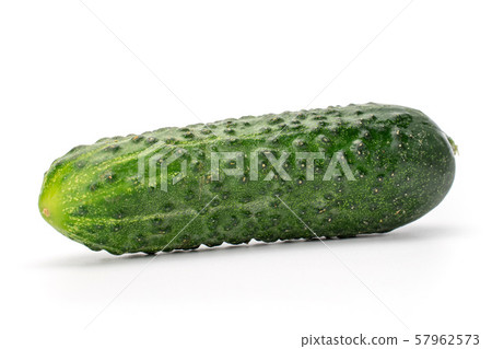 Fresh pickling cucumber isolated on white Fresh pickling cucumber isolated on white 57962573
