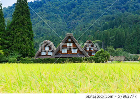 白川鄉秋色稻荷 57962777