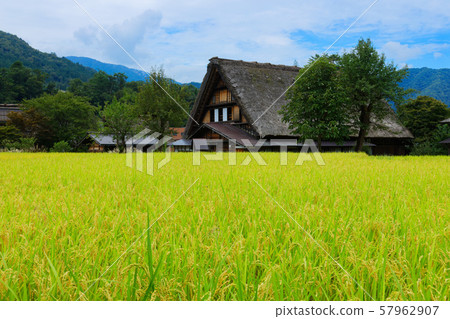 Shirakawa-go Autumn Scenery Wada Family Shirakawa-go Autumn Scenery Wada Family 57962907