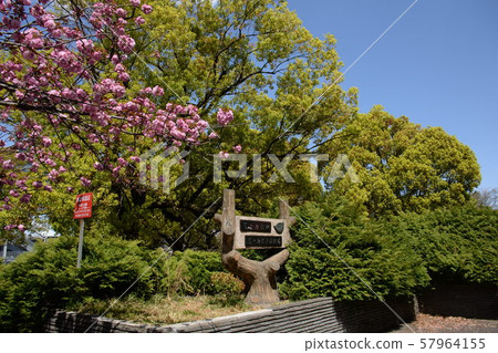 Todoroki Ryokuchi, Nakahara-ku, Kanagawa Kawasaki City 57964155