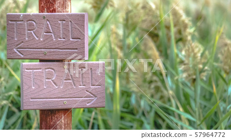 Wooden trail signs with grasses in the background 57964772