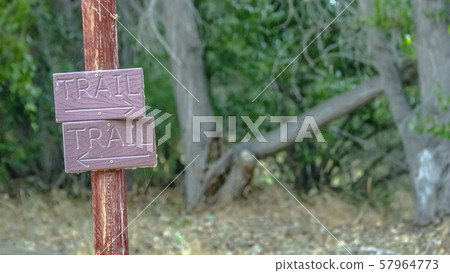 Wooden trail sign against lush trees in Provo Utah 57964773