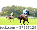 Race horse Baba entrance and return horse 57965129
