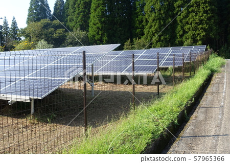 割草後的太陽能發電廠 57965366