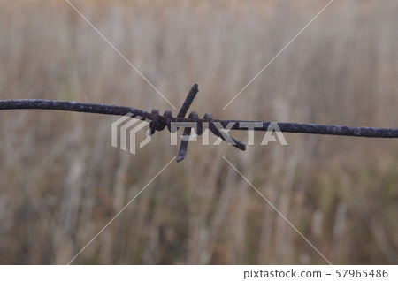 Barbed wire stretched on a fence for security Barbed wire stretched on a fence for security 57965486
