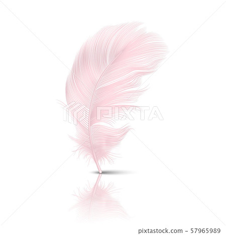 Vector 3d Realistic Falling Pink Flamingo Fluffy Twirled Feather with Reflection Closeup Isolated on Vector 3d Realistic Falling Pink Flamingo Fluffy Twirled Feather with Reflection Closeup Isolated on 57965989