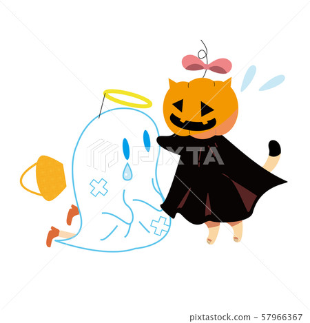 Cat Jack O Lantern enjoys Halloween 6 57966367