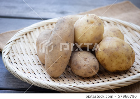 男爵和馬金 57966780