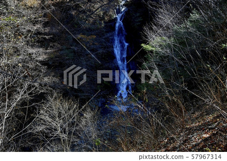 Nishizawa Valley, Okubo Falls, trees shining in backlight Nishizawa Valley, Okubo Falls, trees shining in backlight 57967314