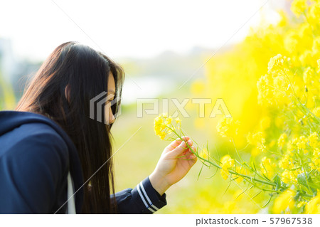 高中女生春菜花 57967538