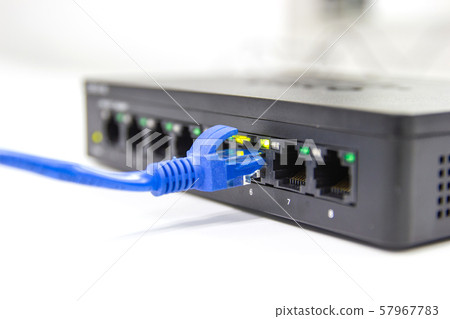 blue cable network cables connected to switch port blue cable network cables connected to switch port 57967783