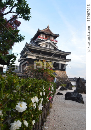 青州城（愛知縣清州市） 57967948