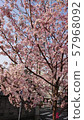 under the cherry tree  57968092