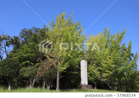 Nagakute Battlefield Nagakute Battlefield 57968534