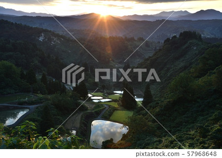 Rice terrace of sunrise 57968648
