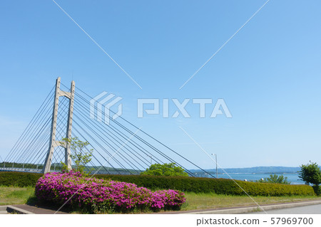 雙橋能登[中野都能路大橋] 57969700