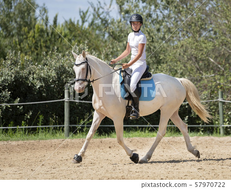 riding girl and horse riding girl and horse 57970722