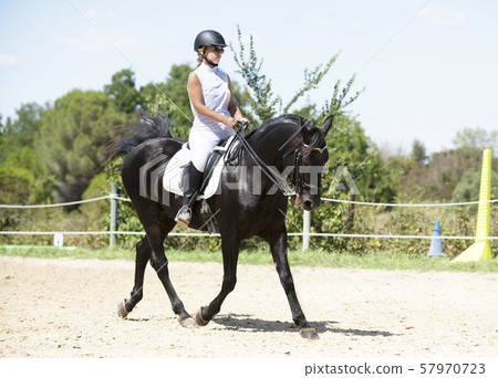 riding girl and horse riding girl and horse 57970723