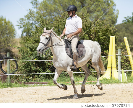 riding man and horse riding man and horse 57970724