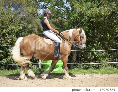 riding girl and horse riding girl and horse 57970725