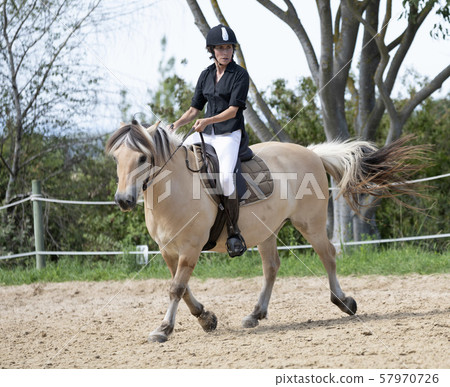 riding girl and horse riding girl and horse 57970726
