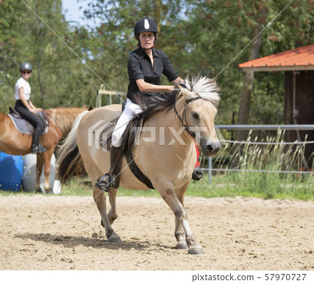 riding girl and horse riding girl and horse 57970727