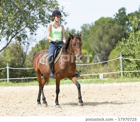 riding girl and horse riding girl and horse 57970728
