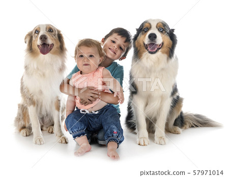 childs and dogs childs and dogs 57971014