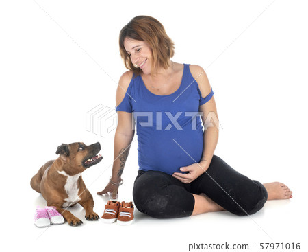 pregnant woman and dog 57971016
