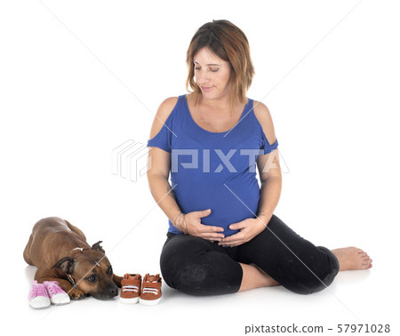 pregnant woman and dog 57971028