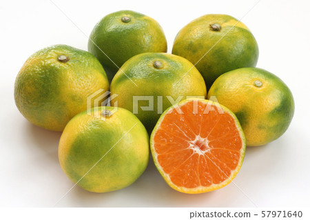 Very early birth mandarin orange Very early birth mandarin orange 57971640