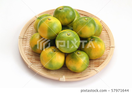 早產橙子 早產橙子 57971644