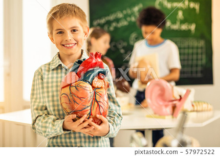 Delighted blonde boy holding model of heart 57972522