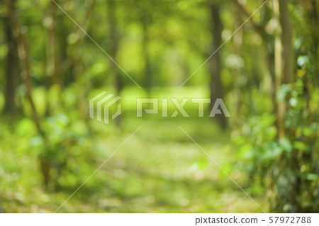 Background green blur 57972788