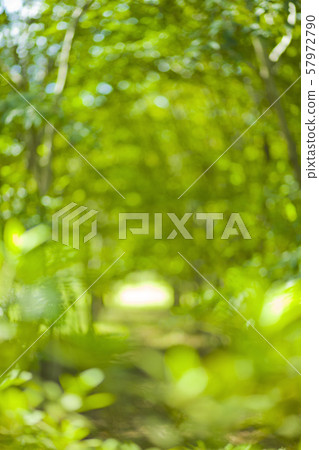 Background green blur 57972790