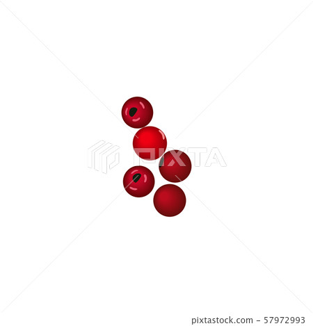 Red beries Collection on white. Cranberry Red beries Collection on white. Cranberry 57972993