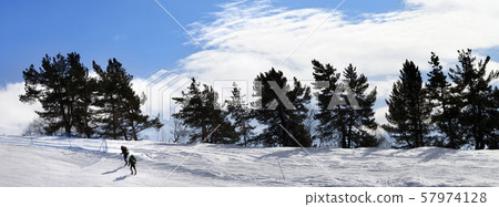 Two hikers on snow slope in sun winter day 57974128