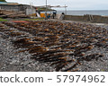 Kelp fishing on Rishiri Island, Hokkaido 57974962