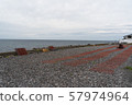 Kelp fishing on Rishiri Island, Hokkaido 57974964