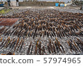 Kelp fishing on Rishiri Island, Hokkaido 57974965