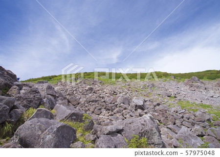 View of the mountain path from Tengubara to Hakuba Norikura (Hakuba mountain range, Kita-Azumi, Nagano) 57975048